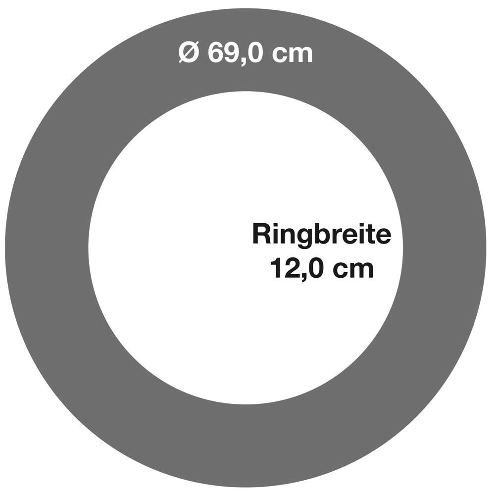 Allflash Dart Labor Catchring Surround - Digital Print für Dartboards